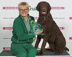 Crufts 2016 Best of Breed