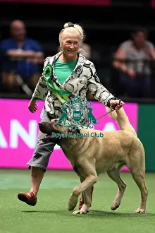 Crufts 2016 Best of Breed
