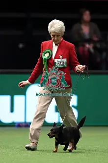 Crufts 2016 Best of Breed