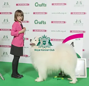 Crufts 2016 Best of Breed