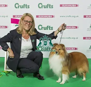 Crufts 2016 Best of Breed