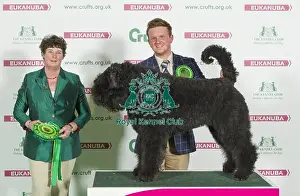 Crufts 2016 Best of Breed
