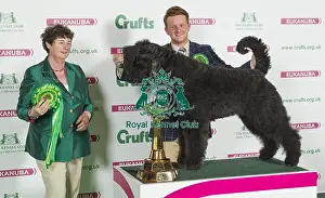 Crufts 2016 Best of Breed