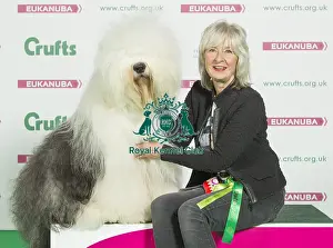 Crufts 2016 Best of Breed