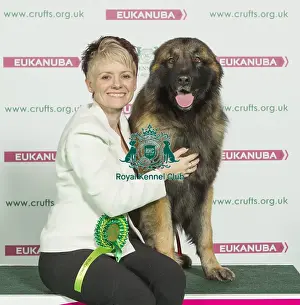 Crufts 2016 Best of Breed