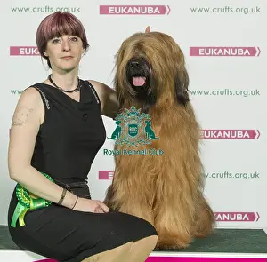 Crufts 2016 Best of Breed