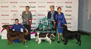 Crufts 2016 Best of Breed
