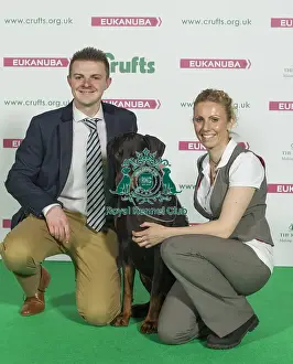 Crufts 2016 Best of Breed