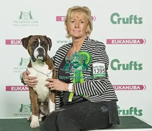 Crufts 2016 Best of Breed