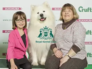 Crufts 2016 Prints: Crufts 2016 Best of Breed