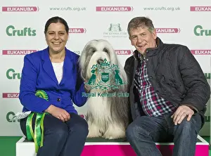 Crufts 2016 Best of Breed