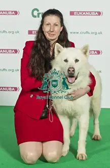 Crufts 2016 Best of Breed