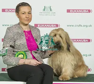 Crufts 2016 Best of Breed