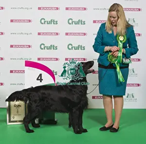 Crufts 2016 Best of Breed