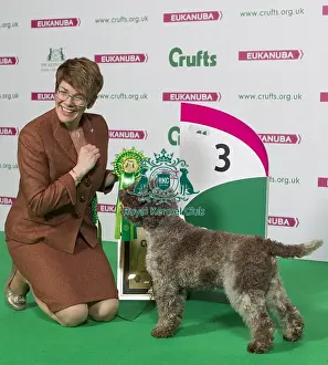 Crufts 2016 Best of Breed