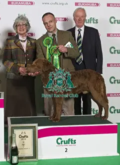 Crufts 2016 Best of Breed