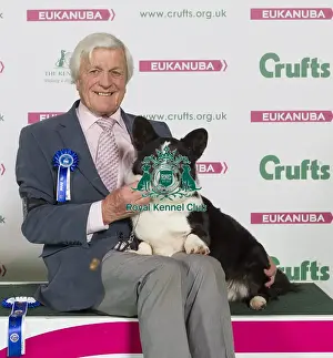 Crufts 2016 Best of Breed