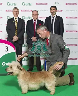 Crufts 2016 Best of Breed