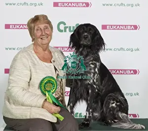Crufts 2016 Best of Breed