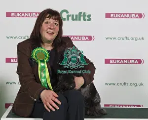 Crufts 2016 Best of Breed