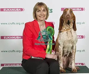Crufts 2016 Best of Breed