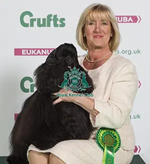 Crufts 2016 Best of Breed