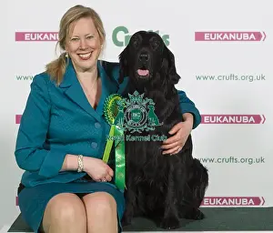 Crufts 2016 Best of Breed