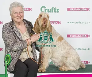 Crufts 2016 Best of Breed