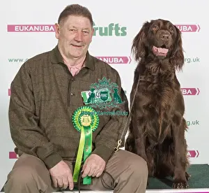 Crufts 2016 Best of Breed