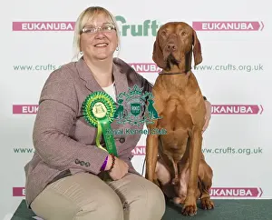 Crufts 2016 Best of Breed