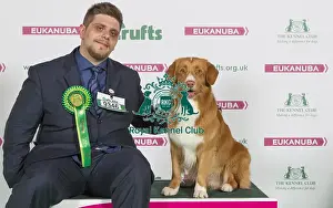 Crufts 2016 Best of Breed