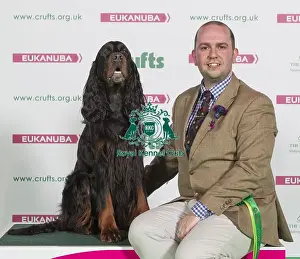 Crufts 2016 Best of Breed