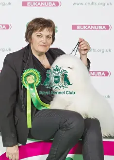 Crufts 2016 Best of Breed