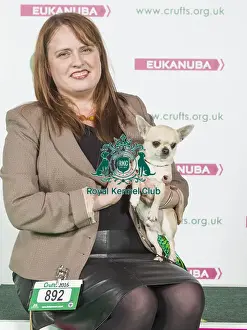 Crufts 2016 Best of Breed