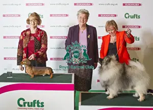 Crufts 2016 Best of Breed