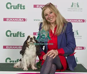 Crufts 2016 Best of Breed