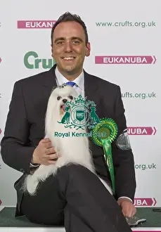 Crufts 2016 Best of Breed