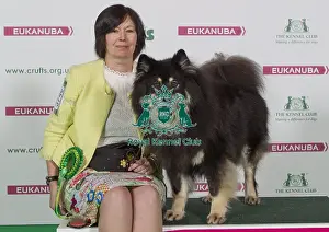 Crufts 2016 Best of Breed
