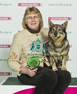 Crufts 2016 Best of Breed