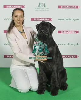 Crufts 2016 Best of Breed
