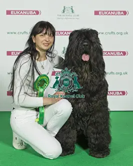 Crufts 2016 Best of Breed