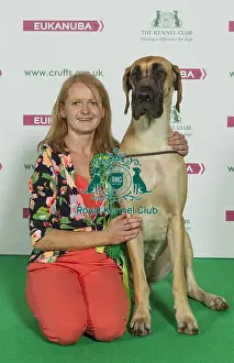 Crufts 2016 Best of Breed