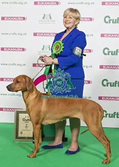 Crufts 2016 Best of Breed