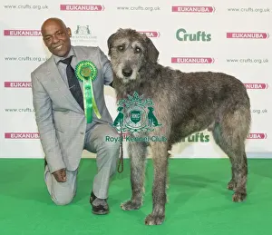 Crufts 2016 Best of Breed