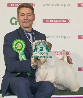 Crufts 2016 Best of Breed