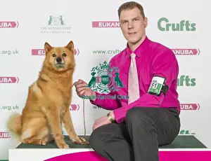 Crufts 2016 Best of Breed