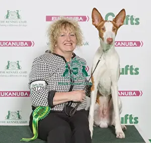 Hound Prints: Crufts 2016 Best of Breed