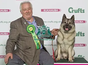 Crufts 2016 Best of Breed