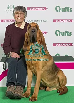 Crufts 2016 Best of Breed