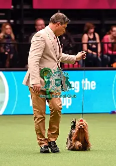 Crufts 2016 Best of Breed